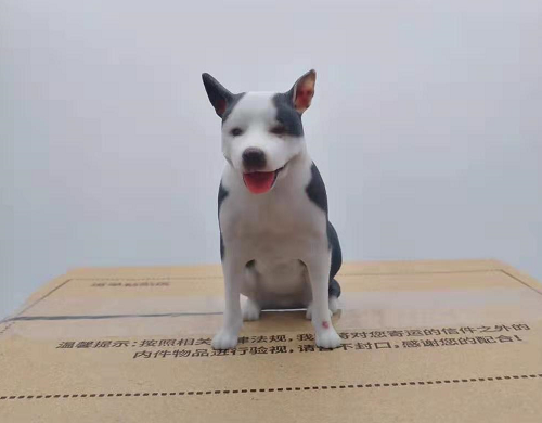 全彩寵物狗3d打印 全彩寵物狗3d打印